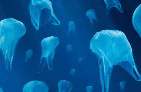 Remove 1kg of plastic from Ocean + Offset 1t of CO₂